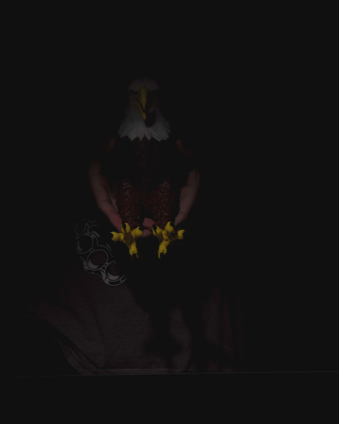 Applique Murale Aigle Réaliste