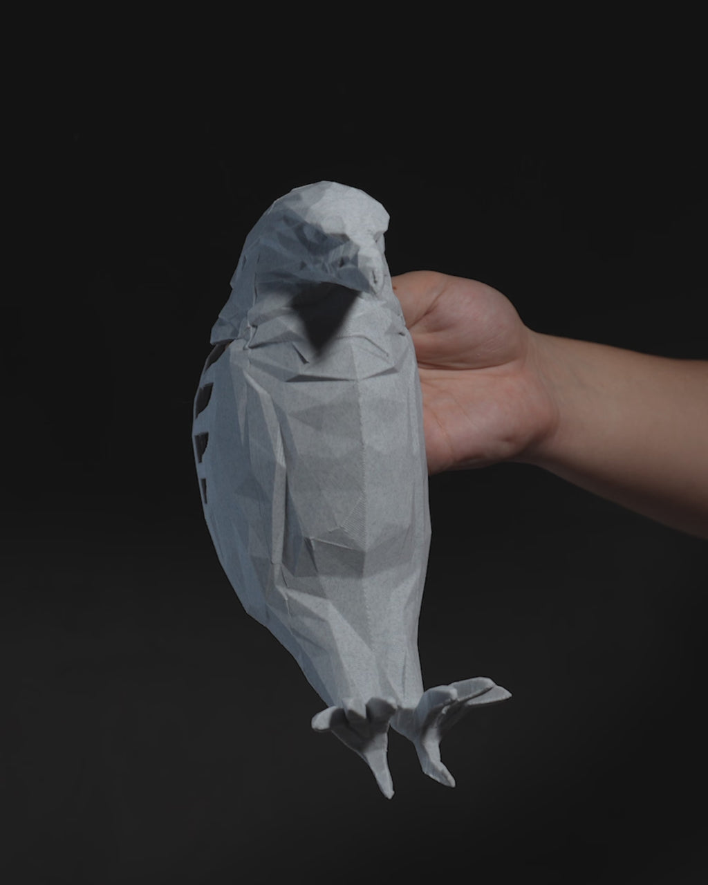 Applique Murale Aigle